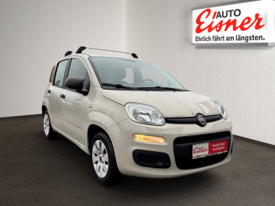 Fiat Panda Gebrauchtwagen