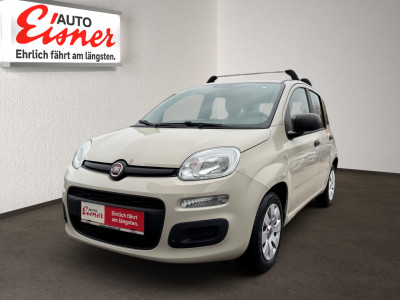 Fiat Panda Gebrauchtwagen