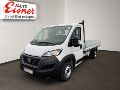 Fiat Ducato Neuwagen