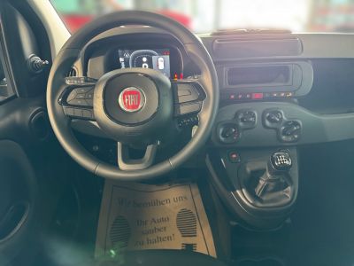 Fiat Panda Neuwagen