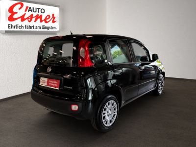 Fiat Panda Neuwagen