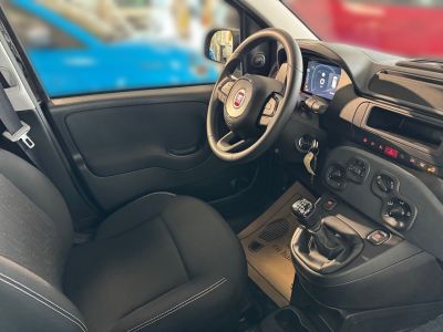 Fiat Panda Neuwagen