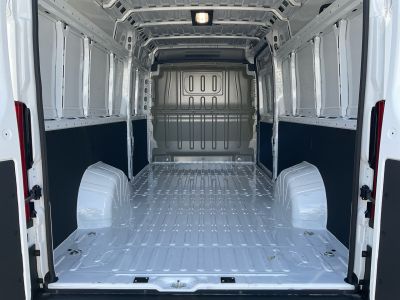 Fiat Ducato Gebrauchtwagen