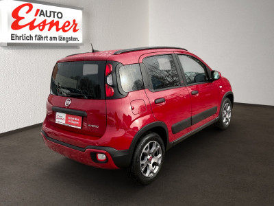 Fiat Panda Gebrauchtwagen
