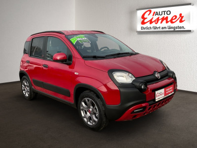Fiat Panda Gebrauchtwagen