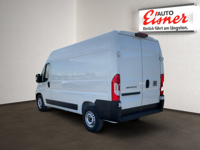 Fiat Ducato Gebrauchtwagen