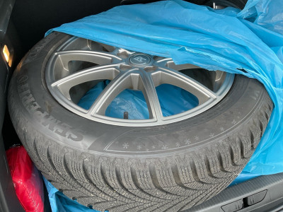 Opel Grandland Gebrauchtwagen