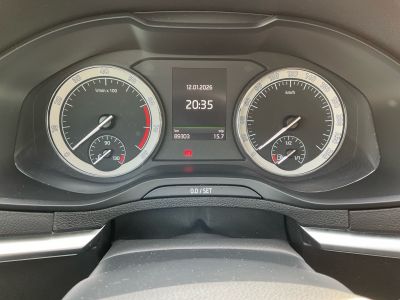 Skoda Karoq Gebrauchtwagen