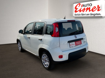 Fiat Panda Gebrauchtwagen Fiat Panda Gebrauchtwagen