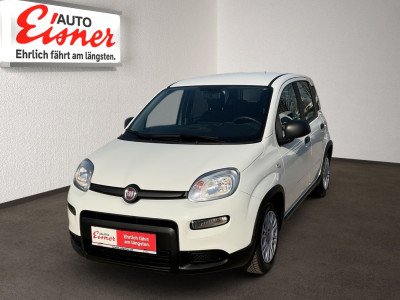 Fiat Panda Gebrauchtwagen Fiat Panda Gebrauchtwagen