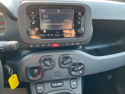 Fiat Panda Gebrauchtwagen Fiat Panda Gebrauchtwagen