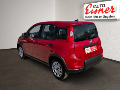 Fiat Panda Gebrauchtwagen Fiat Panda Gebrauchtwagen