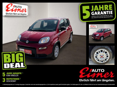 Fiat Panda Gebrauchtwagen Fiat Panda Gebrauchtwagen