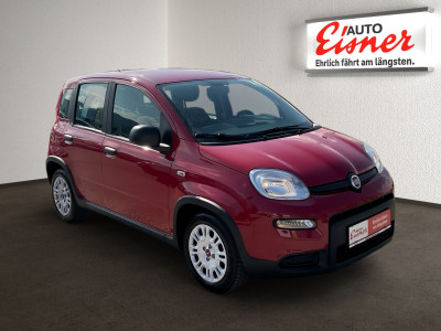 Fiat Panda Gebrauchtwagen Fiat Panda Gebrauchtwagen