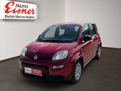 Fiat Panda Gebrauchtwagen Fiat Panda Gebrauchtwagen