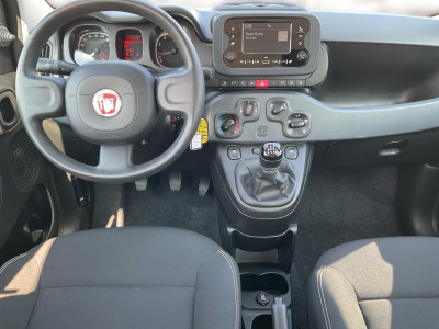 Fiat Panda Gebrauchtwagen Fiat Panda Gebrauchtwagen