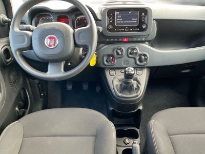 Fiat Panda Gebrauchtwagen