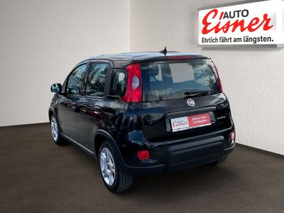 Fiat Panda Gebrauchtwagen