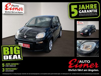 Fiat Panda Gebrauchtwagen