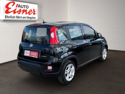 Fiat Panda Gebrauchtwagen
