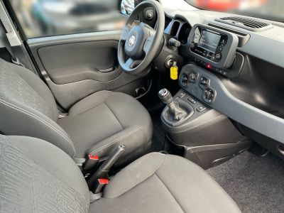 Fiat Panda Gebrauchtwagen