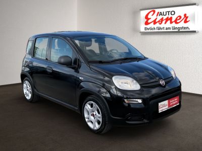 Fiat Panda Gebrauchtwagen