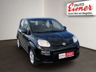 Fiat Panda Gebrauchtwagen