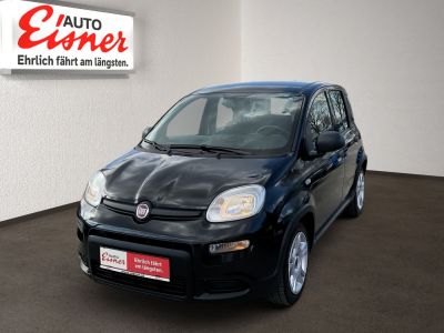 Fiat Panda Gebrauchtwagen