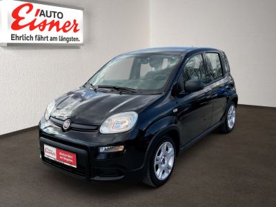 Fiat Panda Gebrauchtwagen