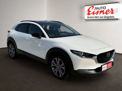 Mazda CX-30 Gebrauchtwagen Mazda CX-30 Gebrauchtwagen