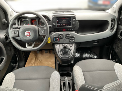 Fiat Panda Gebrauchtwagen