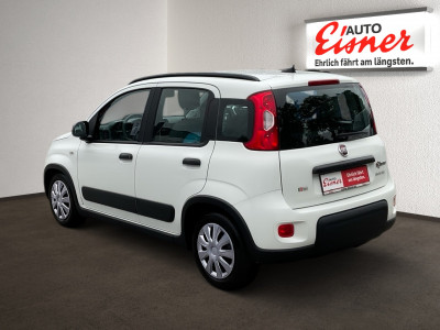 Fiat Panda Gebrauchtwagen