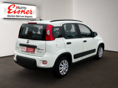 Fiat Panda Gebrauchtwagen