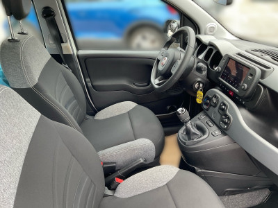 Fiat Panda Gebrauchtwagen