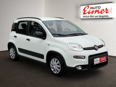 Fiat Panda Gebrauchtwagen