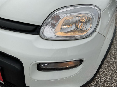 Fiat Panda Gebrauchtwagen