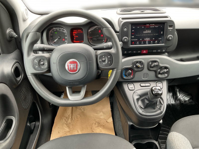 Fiat Panda Gebrauchtwagen