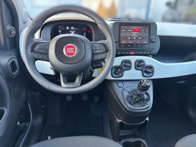 Fiat Panda Gebrauchtwagen