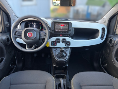 Fiat Panda Gebrauchtwagen