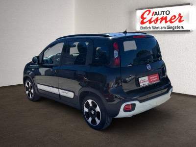 Fiat Panda Gebrauchtwagen