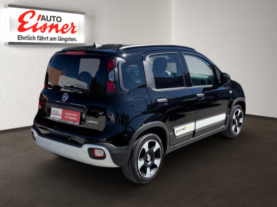Fiat Panda Gebrauchtwagen