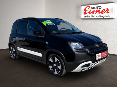 Fiat Panda Gebrauchtwagen