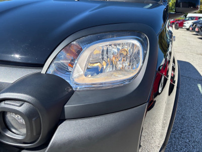 Fiat Panda Gebrauchtwagen