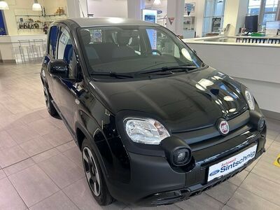 Fiat Panda Tageszulassung