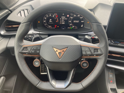 Cupra Terramar Gebrauchtwagen