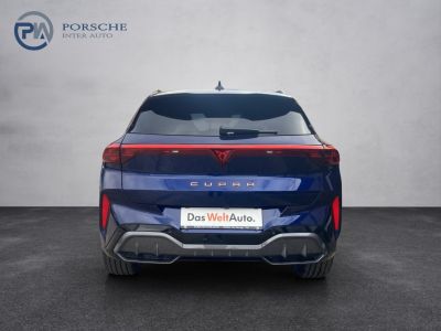 Cupra Terramar Gebrauchtwagen Cupra Terramar Gebrauchtwagen