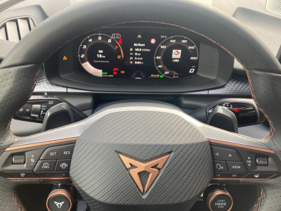 Cupra Terramar Gebrauchtwagen