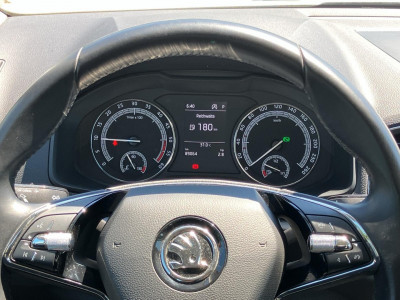 Skoda Karoq Gebrauchtwagen