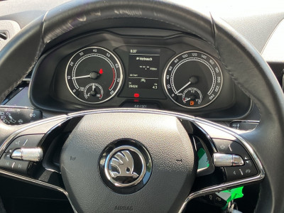 Skoda Kamiq Gebrauchtwagen