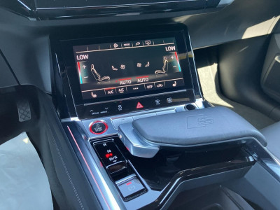 Audi e-tron Gebrauchtwagen